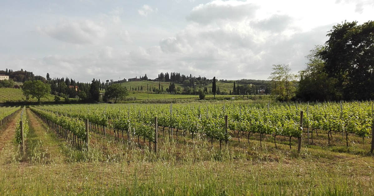 Z czego słynie Toskania? Największe atrakcje i różnice kulturowe
