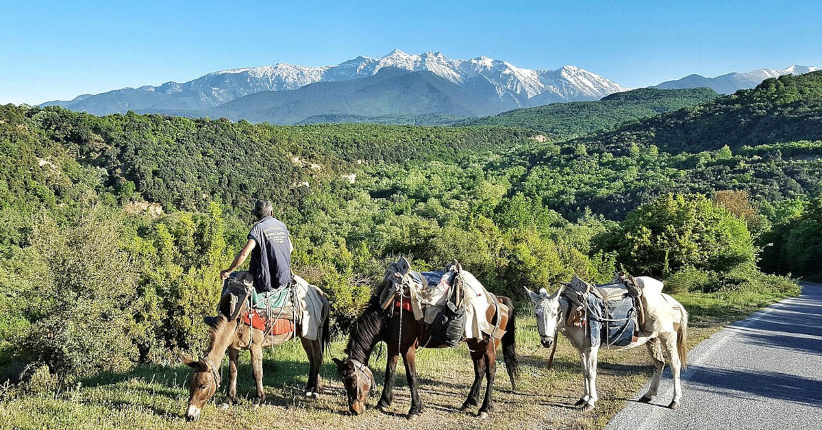 Ile kosztuje wycieczka do Grecji?