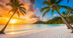 Złoty zachód słońca nad białą plażą i turkusową wodą z palmami na pierwszym planie na wyspie Boracay.