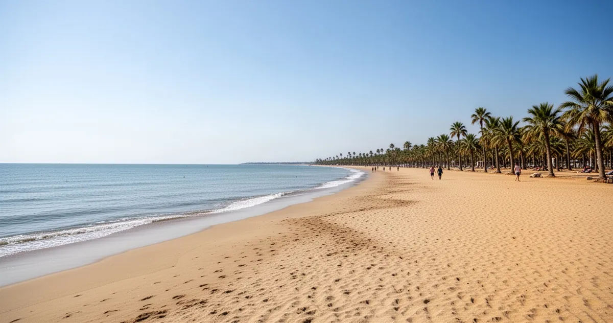 Długa piaszczysta plaża z palmami